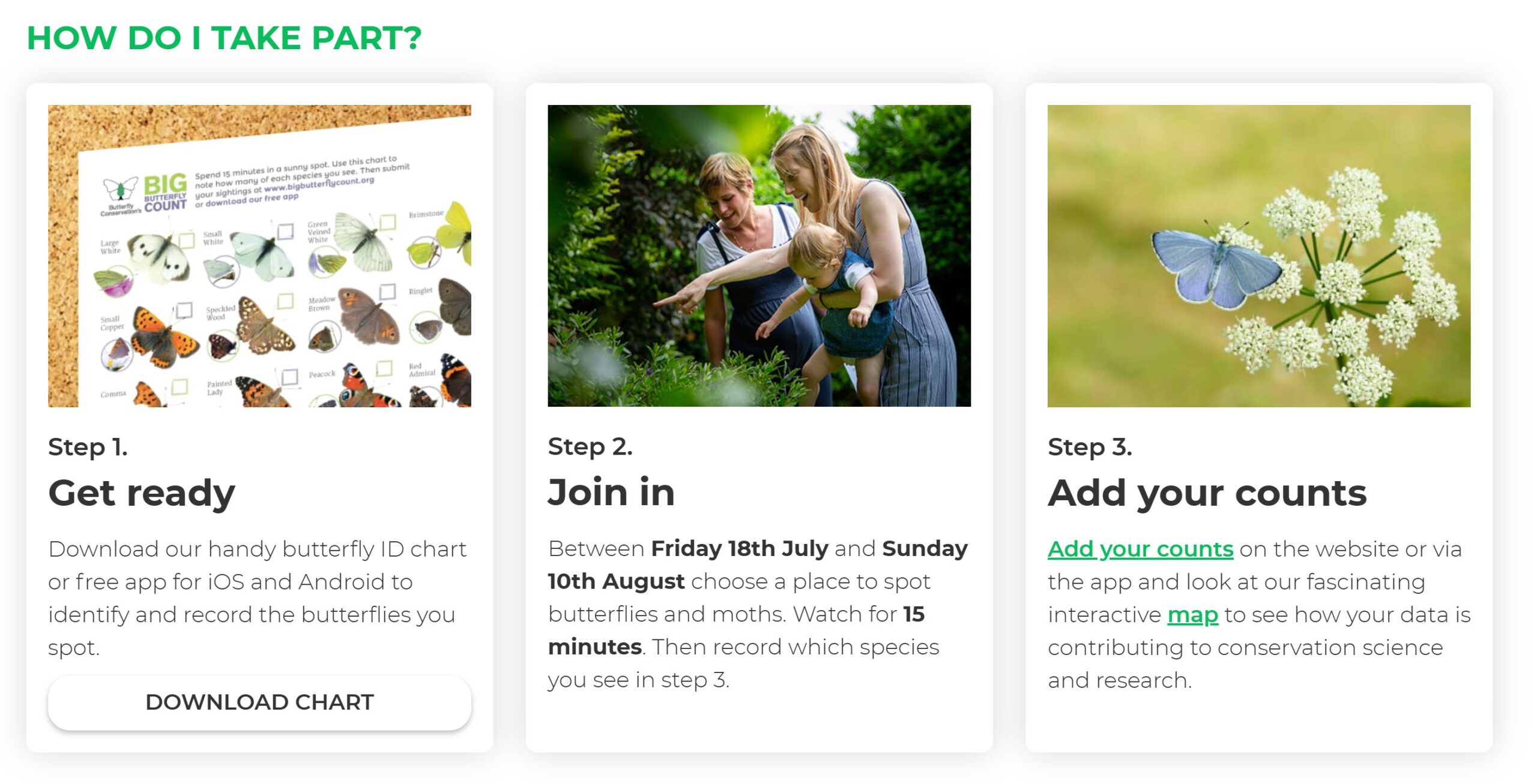 Big Butterfly Count - How to take part